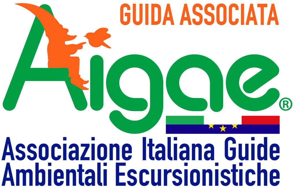 Logo AIGAE